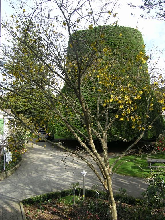 Bucket Tree Lodge Tawa Екстер'єр фото